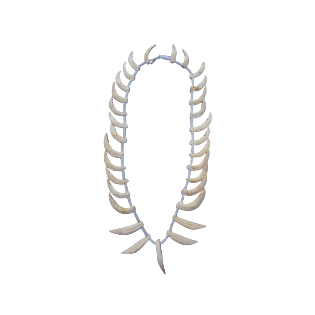 COLAR DENTE MARUBO YURA